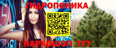 ГАЛЛЮЦИНОГЕННЫЕ ГРИБЫ Коммунар